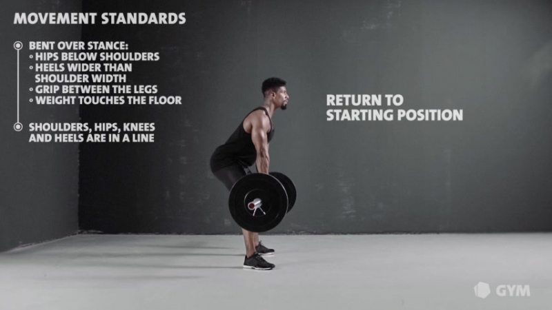 Sumo deadlift freeletics gym