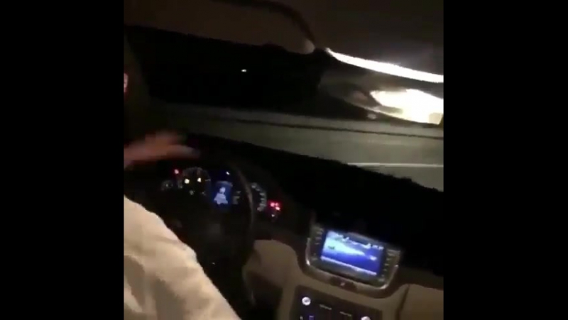 Шейхи развлекаются