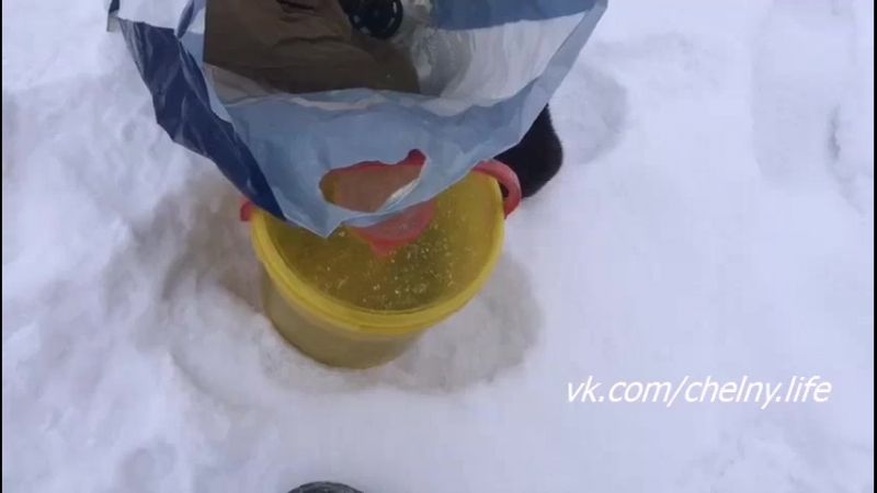 Наглый товарищь