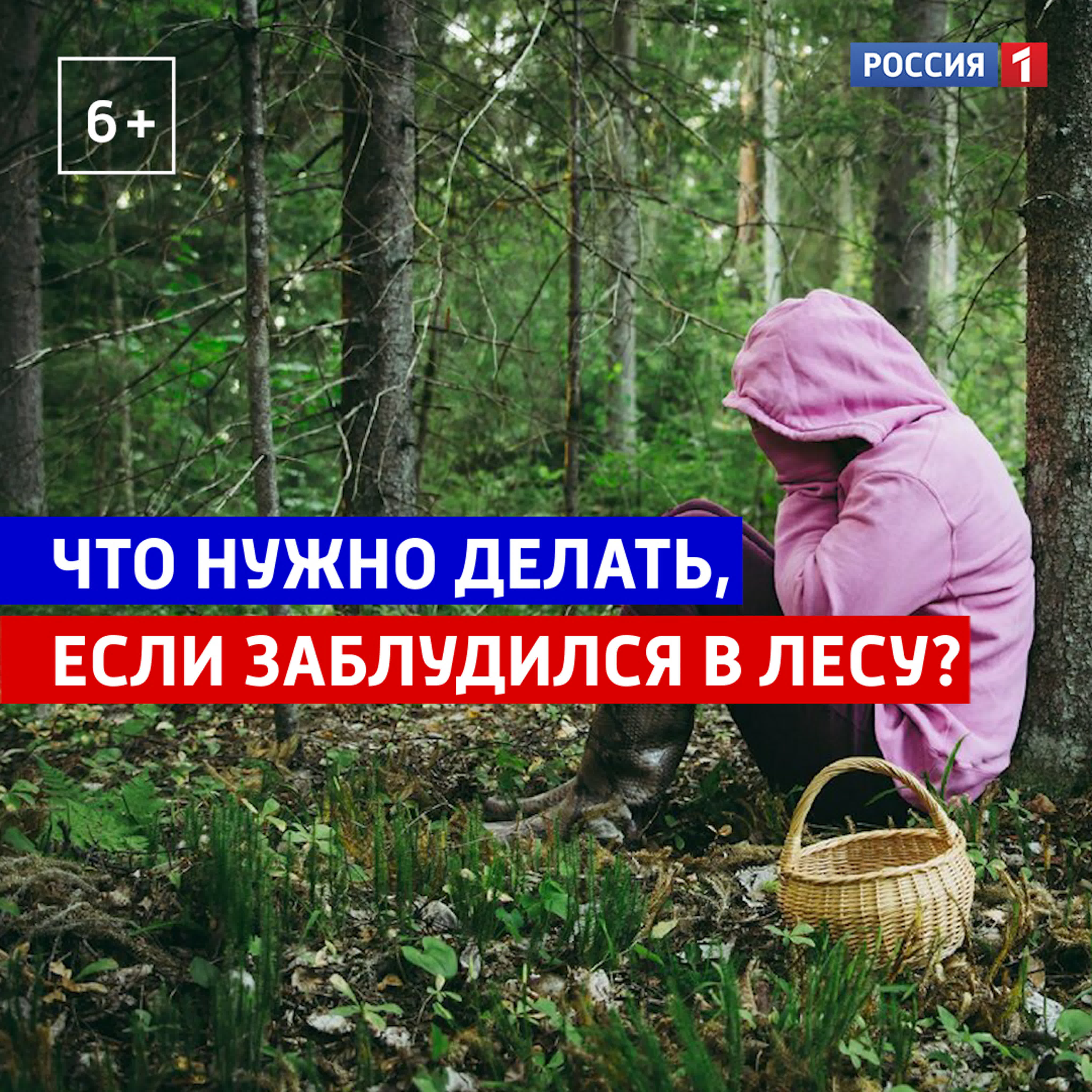 Что нужно делать, если заблудился в лесу россия 1 watch online