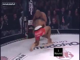 Давид да силва диего дуарте