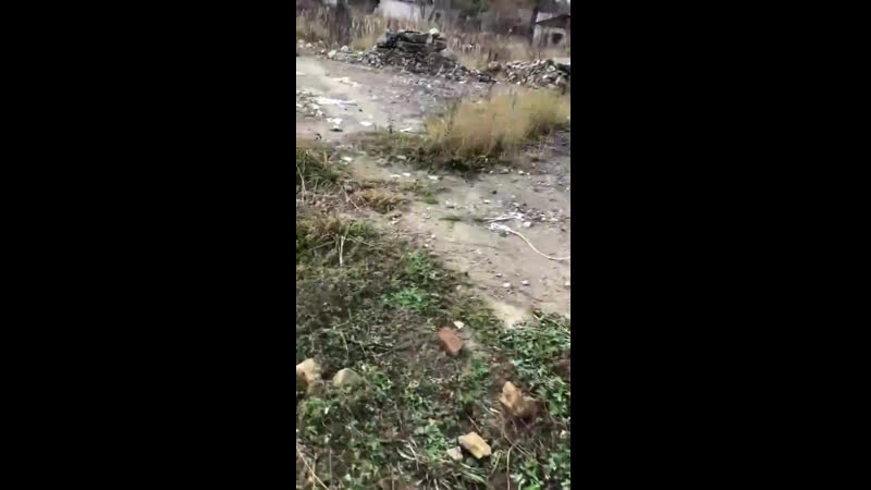 День д вторжение организатор agr (airsoft games russia) полигон рсб