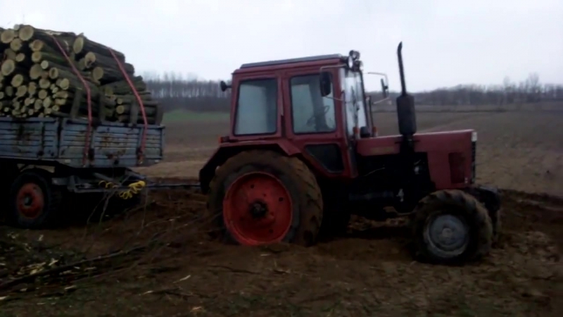 Белорус и две телеги с дровами