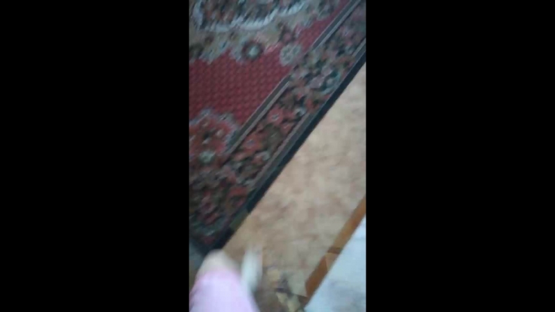 Хэээээ,последнии перезаход