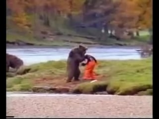 John west salmon bear fight ad