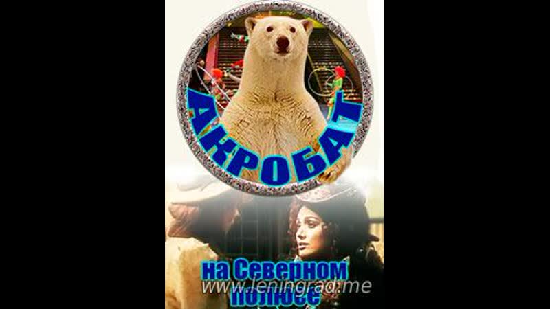 Акробат на северном полюсе (1982) румыния