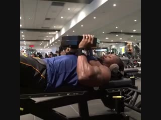 Тренироа трицепса nhtybhjdrf nhbwtgcf