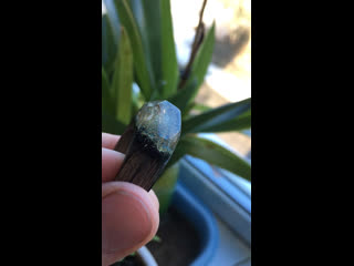 Звёздная пыль