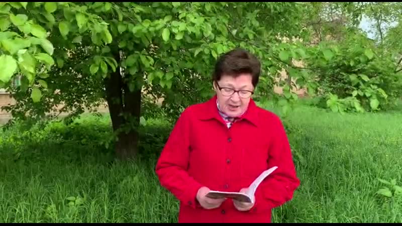 Член лито видное