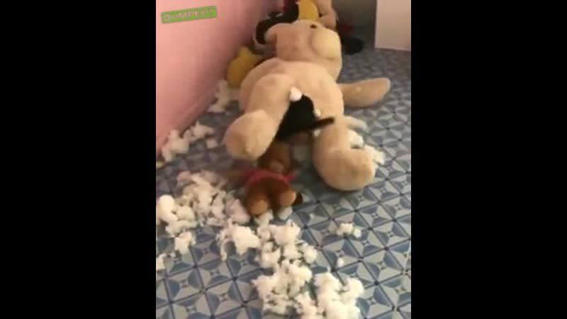 Маскироа 100 уровня