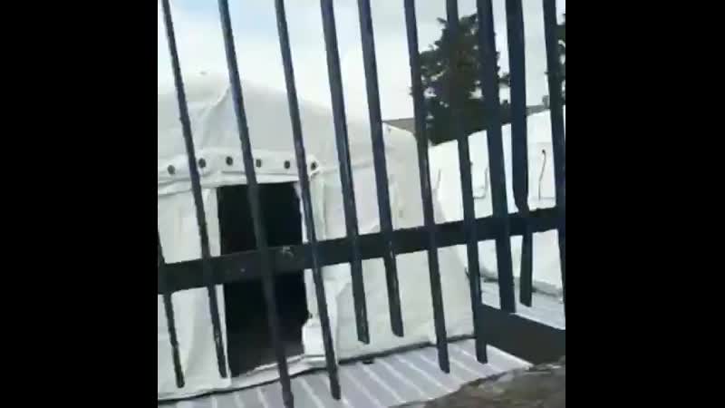 Масштабы коронавируса в иране