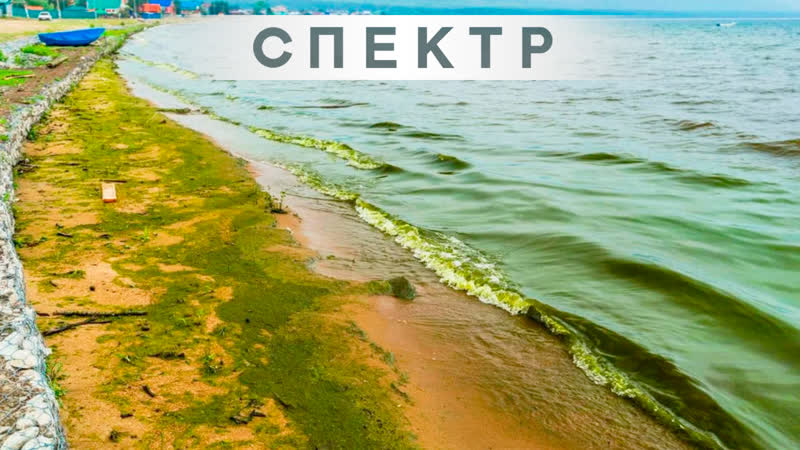 Экс мэр иркутска раскритиковал солиста little big в танце