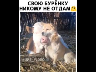 Dobro vine 20200328 4 mp4