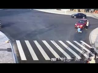 Puppy uses the crosswalk after jaywalker gets hit by a car