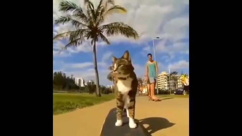 Стремление