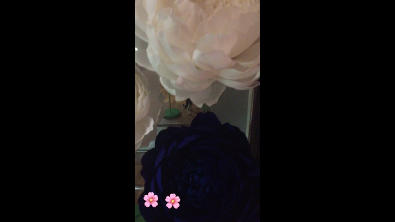 Большие пионы