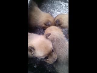 Trim 20190904 211302 mp4