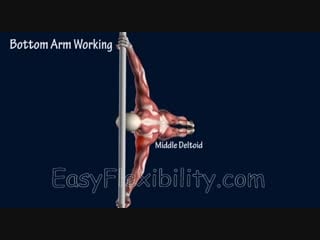 Sls how to human flag progression tutorial muscle animation easyflexibility