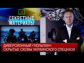 Секретные материалы диверсионный «тюльпан» скрытые схемы украинского спецназа