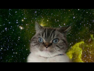 Удочка у уточки