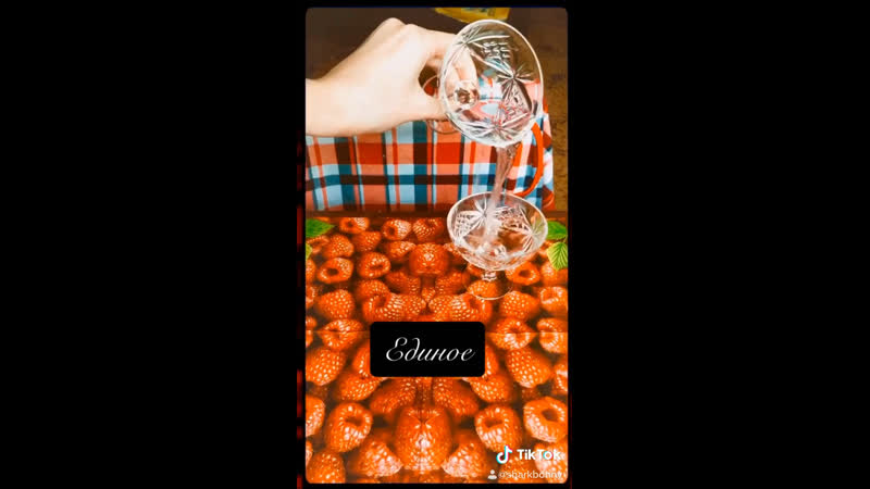 Единое | shark bonny on tiktok