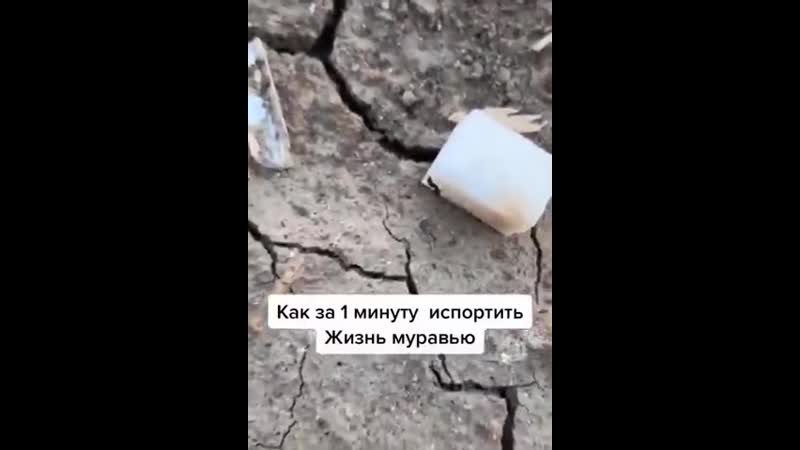 Ходи оглядывайся