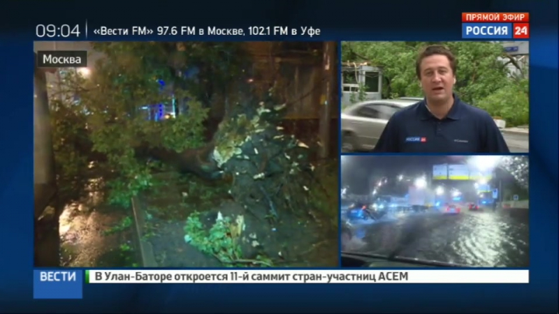 Шторм в москве поваленные деревья, потоп и отложенные рейсы