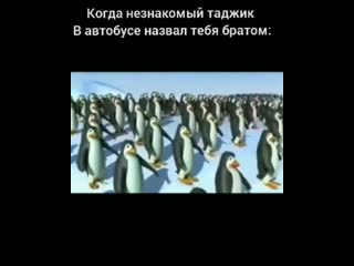 Нас никогда никто не сломает (vhs video)