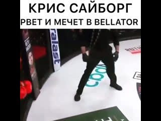 Bellator 236 крис сайборг vs джулия бадд