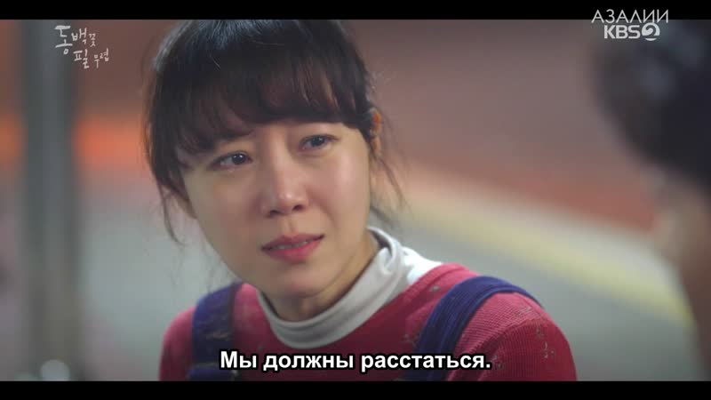 Когда цветет камелия 18/20