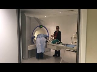 Chappie being prepared for the mri machine at fitzpatrick referrals