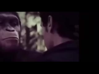 Я ебал твою мёртвую мать