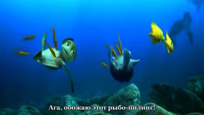 Шевели ластами субтитрами