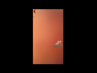 Давайте пошалим ребята! [сосет,кончает,анал,минет,сын,мать,инцест,]