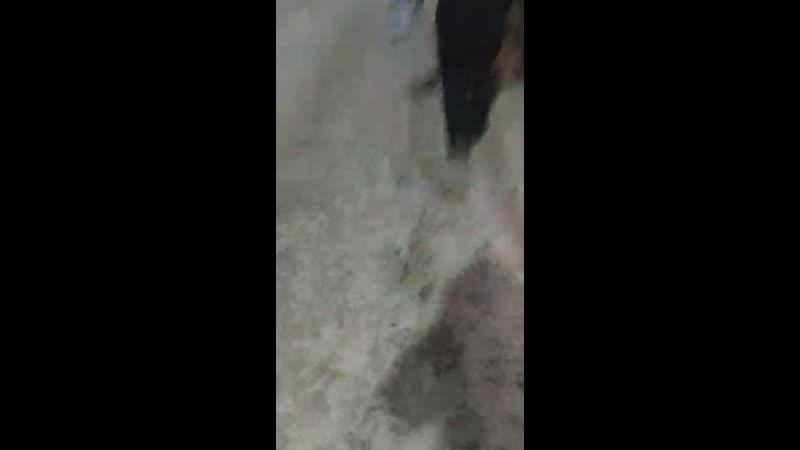 У автобуса марки hyundai под управлением 59 летнего водителя при выезде с останои заклинило коробку передач, то есть рычаг вст