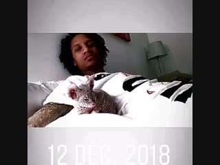 Cute larry with paname!!! 😁🐈via larry's igs 👻