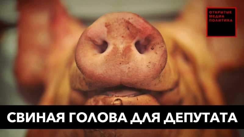 Свиная голова для депутата