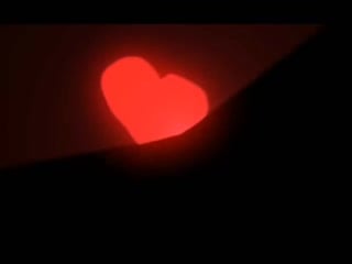 ▹ nyan neko sugar girls