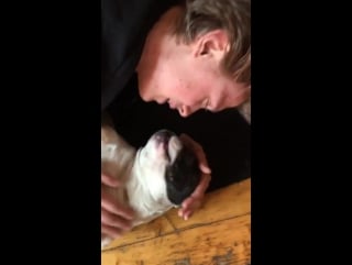 Henris / lea / kokos