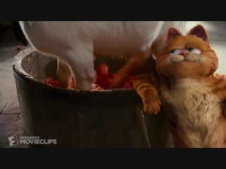 Let me serve your bitch lasagna