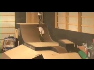 Element bam margera with chris cole