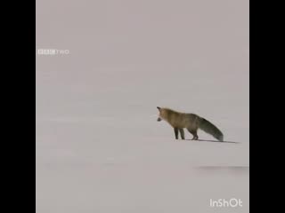 Ohota ribalka poltavskiy kray 20200419 204028 0 mp4