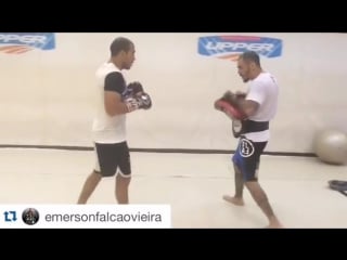 Mma style jose aldo работа на падах