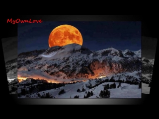 Full moon on main street~omar and the howlers myownlove291