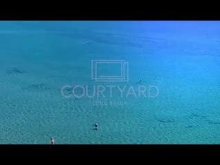 Courtyard long beach 2+1 daire turu flat