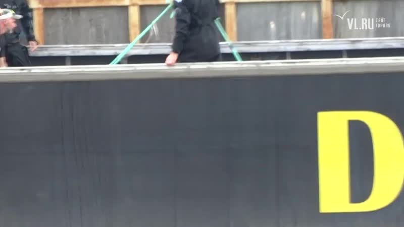 Выпуск косаток и белух из китовой тюрьмы