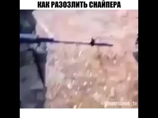 Как разозлить снайпера😁😁