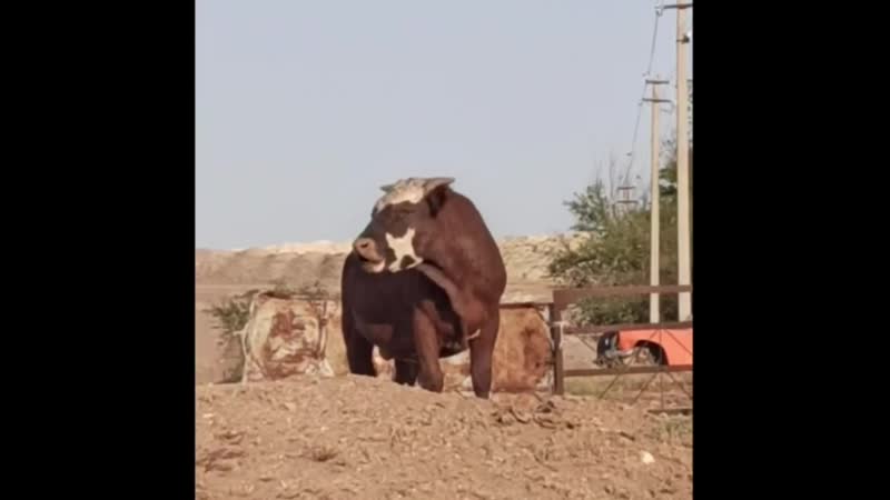 Бeги пацан, а тo девушкой стaнeшь