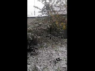 Vid 20201006 112754 mp4