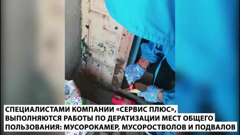 Ук ремжилстрой обработка помещений